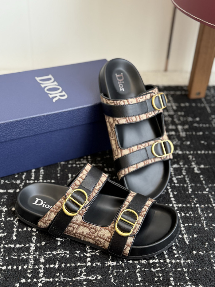 D10r SLIDES DS-0154
