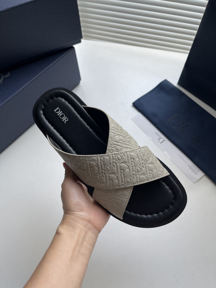 D10r slides ds-048