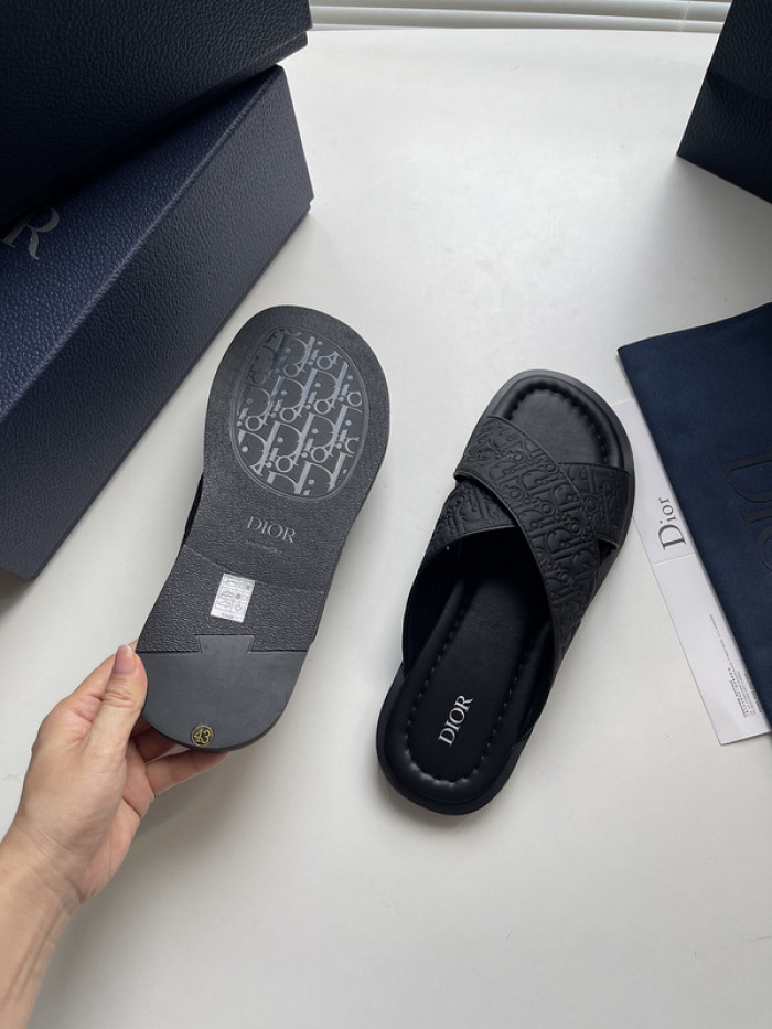 D10r slides ds-049