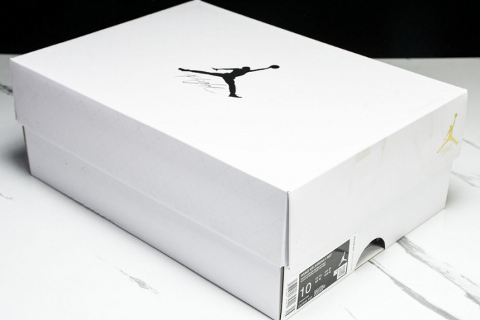 Air Jordan 4 FV7251-107