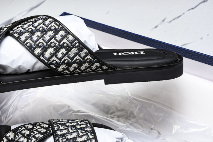 D10r slides ds-061