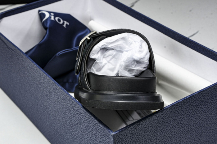 D10r slides ds-058