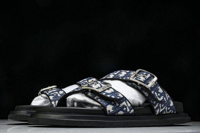 D10r slides ds-057