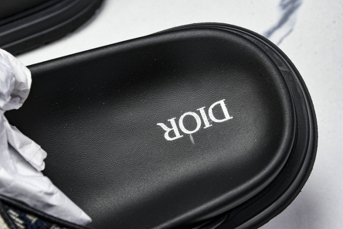 D10r slides ds-057