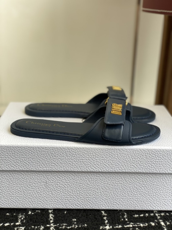 D10r slides ds-084