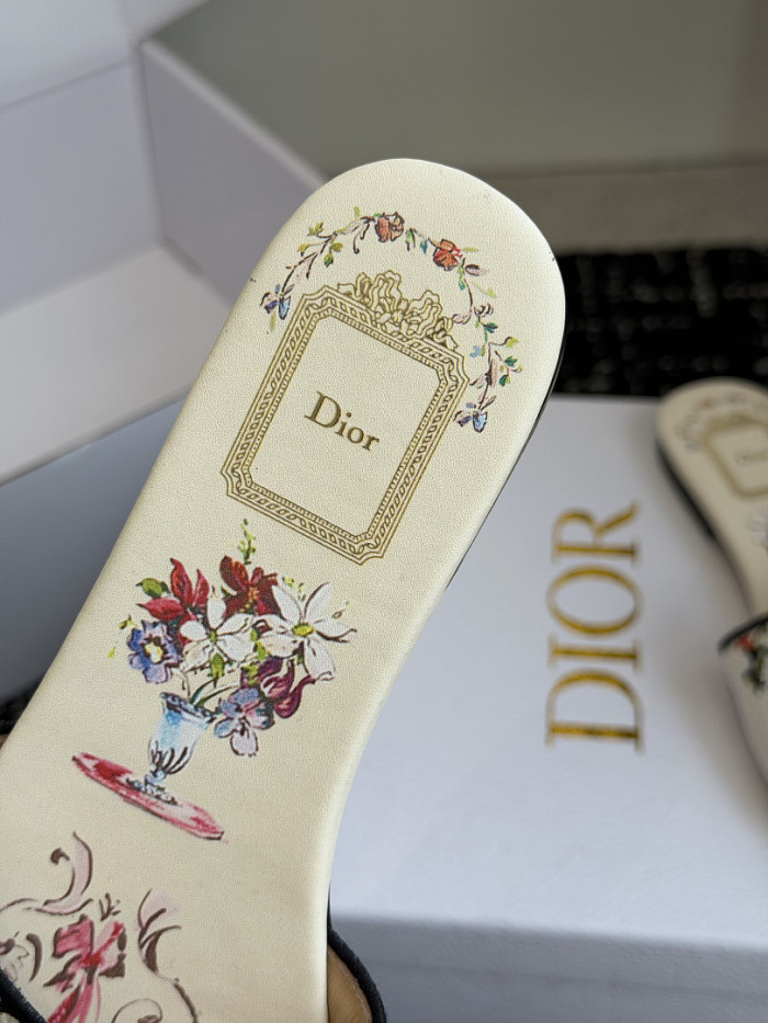 D10r SLIDES DS-0118