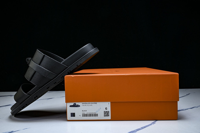 D10r SLIDES DS-095