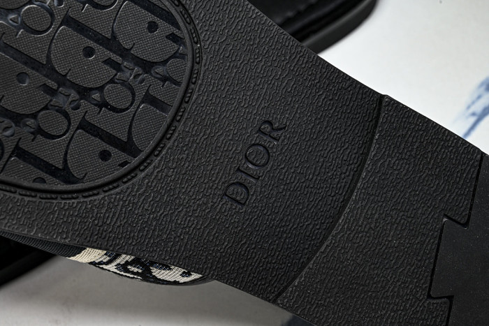 D10r SLIDES DS-0100