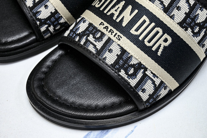 D10r SLIDES DS-0100