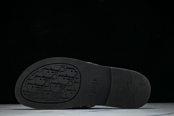 D10r SLIDES DS-0100