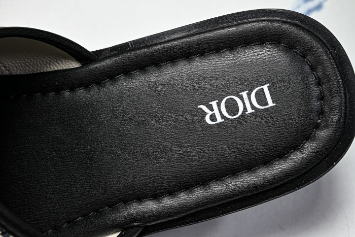 D10r SLIDES DS-0100
