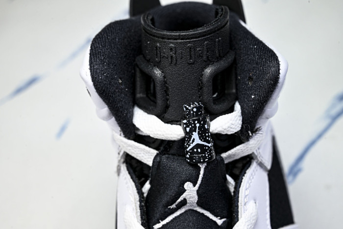Air Jordan 6 Sport CT8529-108