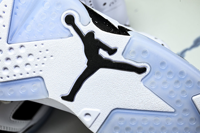 Air Jordan 6 Sport CT8529-108