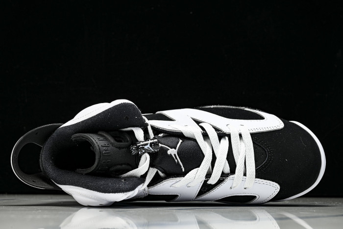 Air Jordan 6 Sport CT8529-108