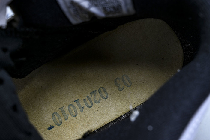 Air Jordan 6 Sport CT8529-108