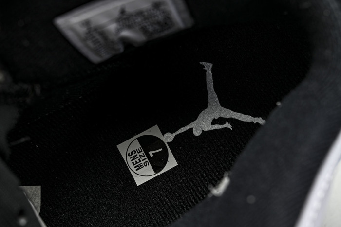 Air Jordan 6 Sport CT8529-108
