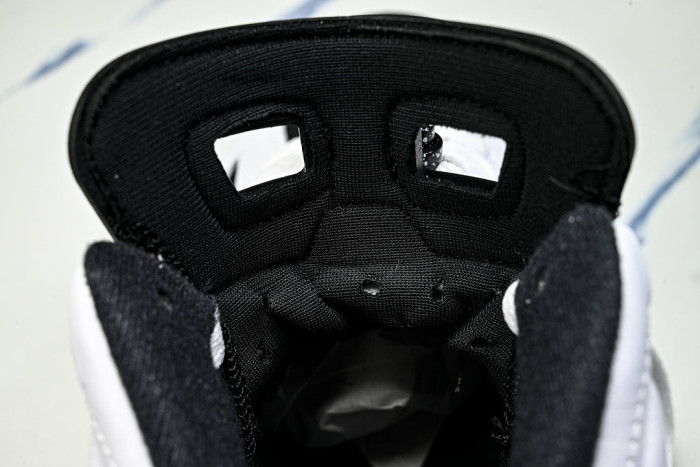 Air Jordan 6 Sport CT8529-108