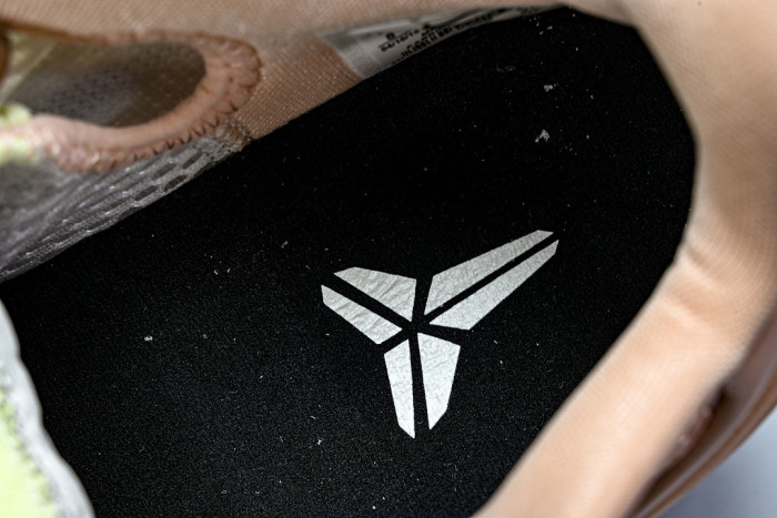 Nike Kobe 6 PE2026-100