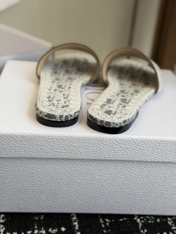 D10r SLIDES DS-0104