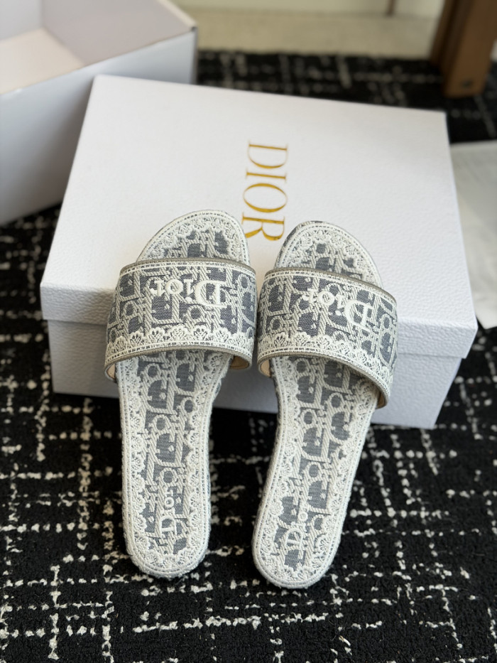 D10r SLIDES DS-0104