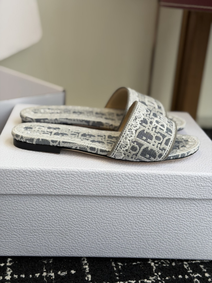 D10r SLIDES DS-0104