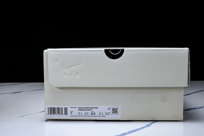 Nike Air Max 95 SP IB4523-004
