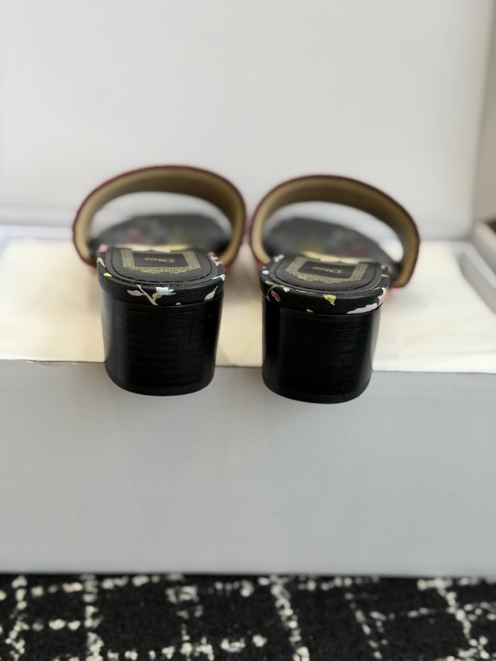 D10r SLIDES DS-0123