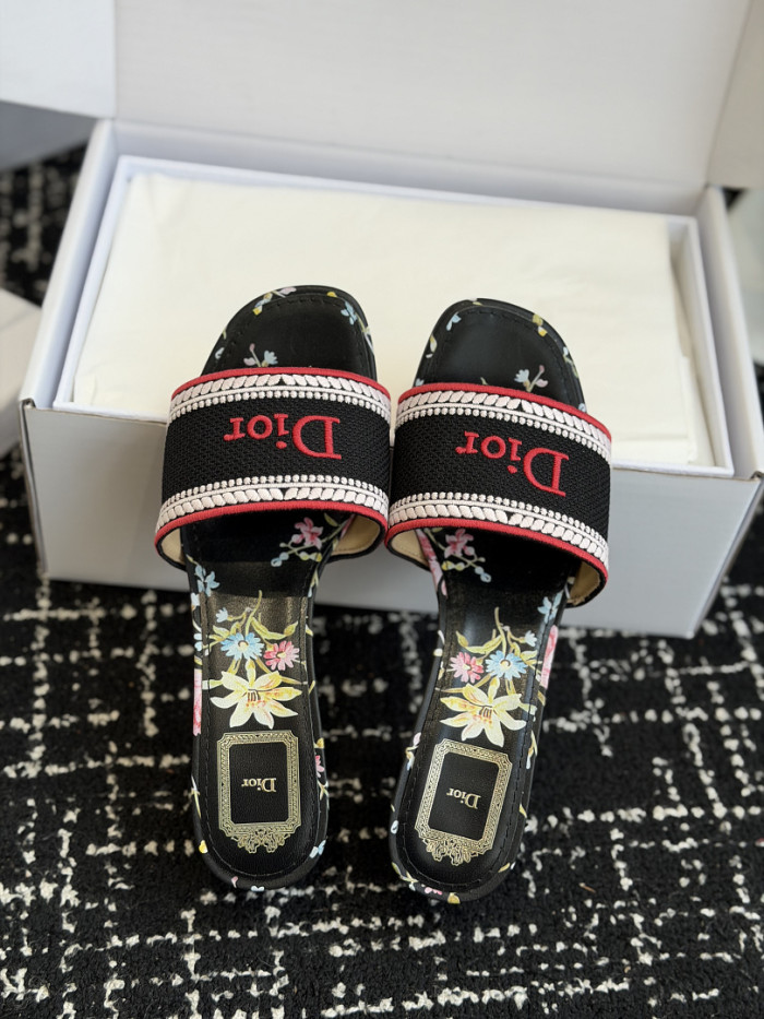 D10r SLIDES DS-0123