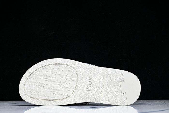 D10r SLIDES DS-099