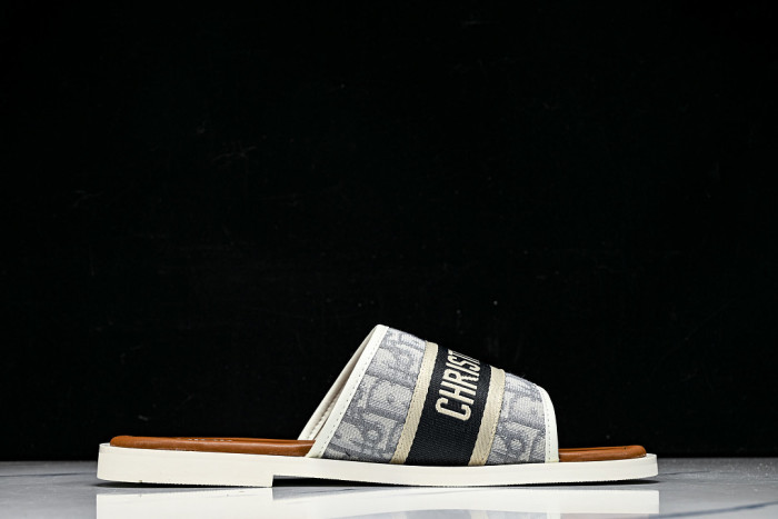 D10r SLIDES DS-099