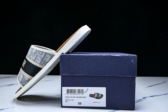D10r SLIDES DS-099