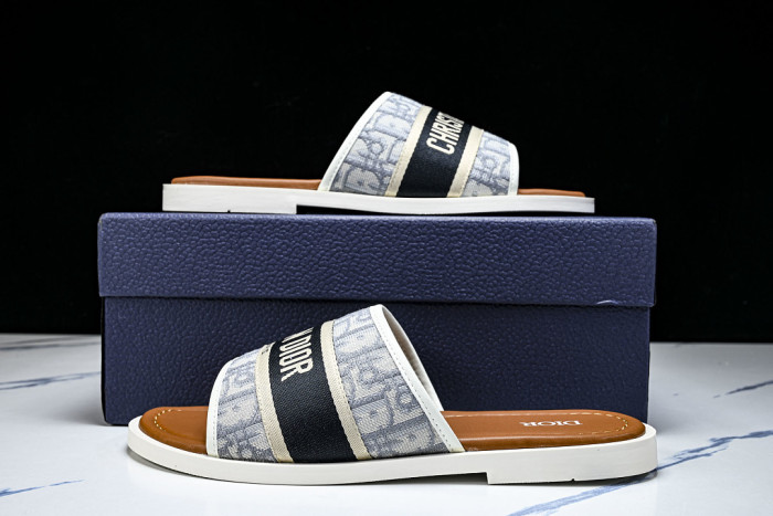 D10r SLIDES DS-099