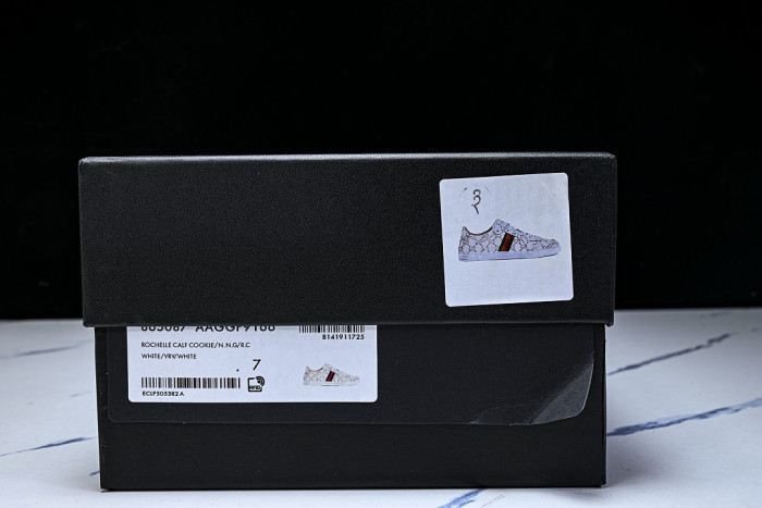 GC sneaker GC-sy0109
