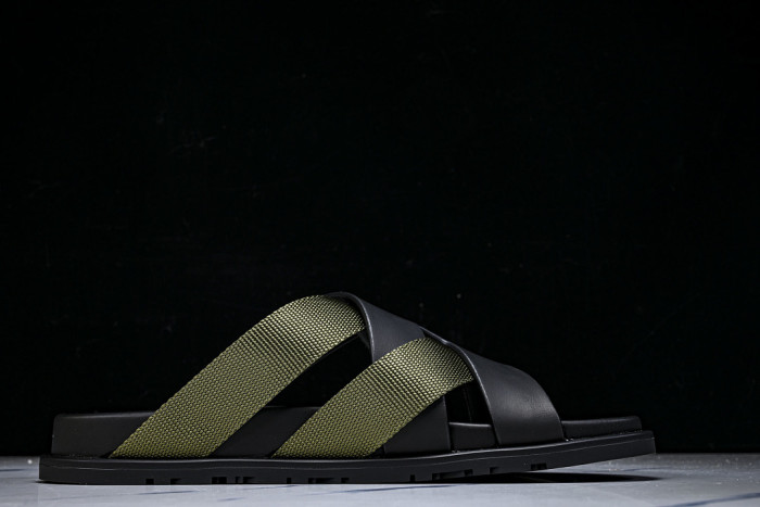 D10r SLIDES DS-093