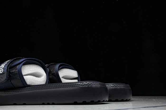 D10r slides ds-080