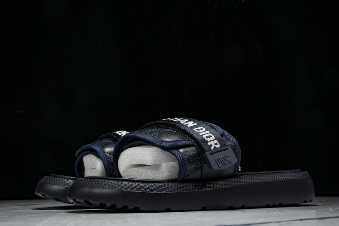 D10r slides ds-080
