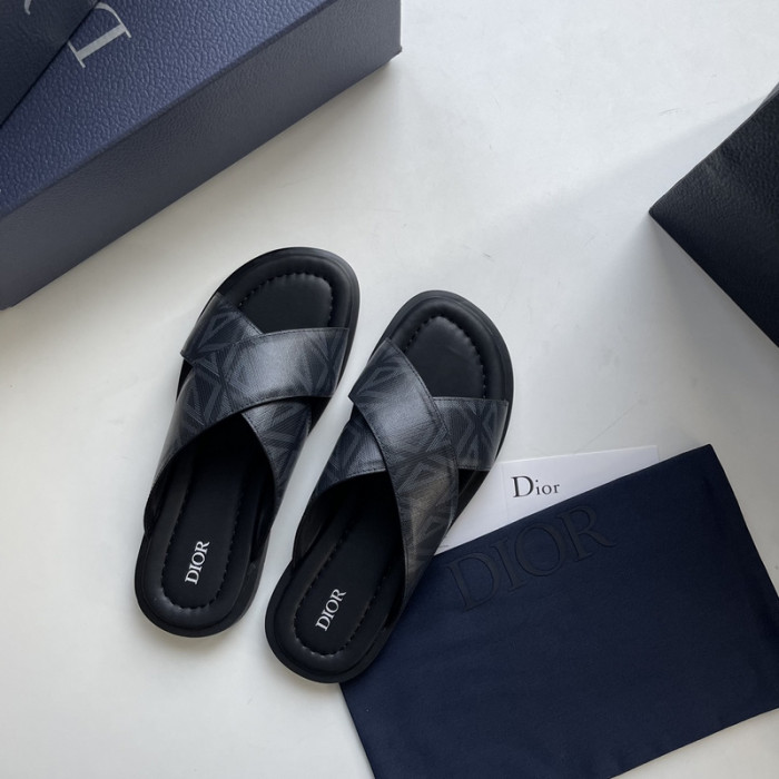 D10r slides ds-043